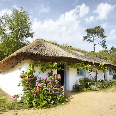 Coucher De Soleil Proche De La *