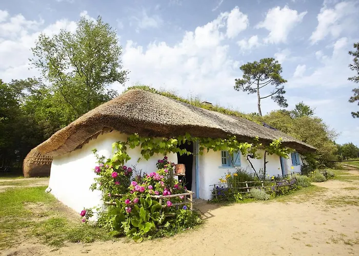 Coucher De Soleil Proche De La *